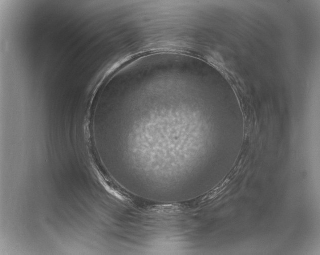 X0000075890050200609291716