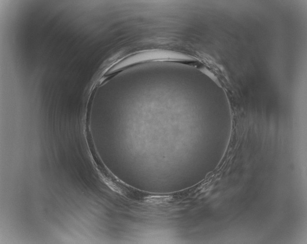 X0000075890051200609291716