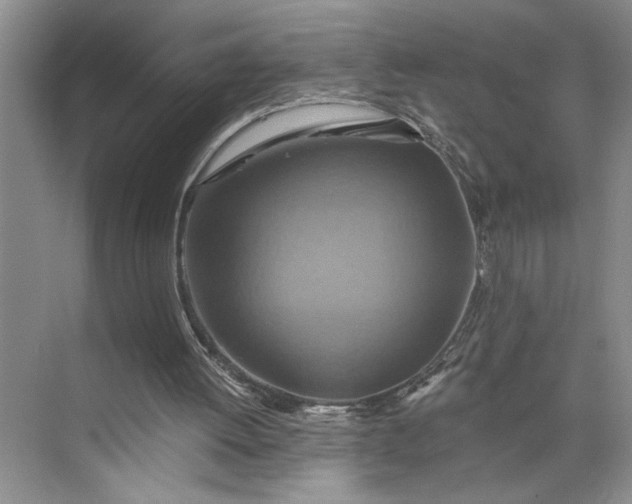 X0000075890052200609291716