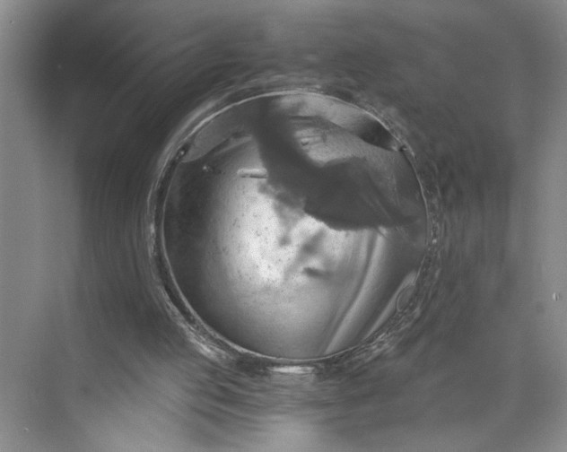 X0000075890053200609291716