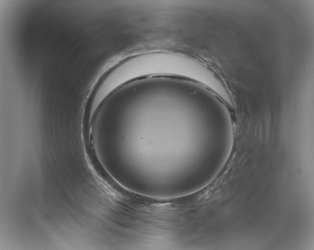 X0000075890054200609291716