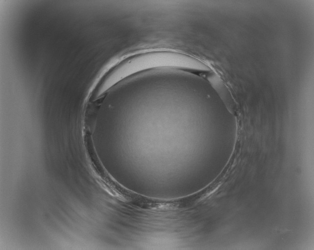 X0000075890056200609291716