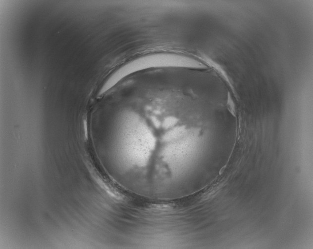 X0000075890061200609291716