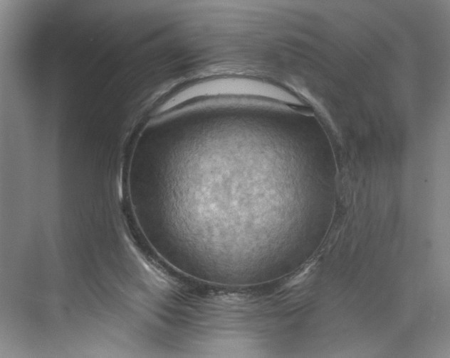 X0000075890062200609291716