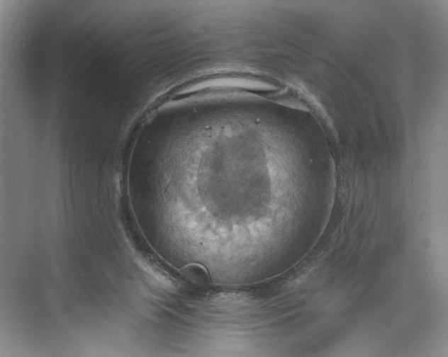 X0000075890063200609291716