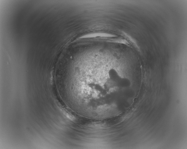 X0000075890065200609291716