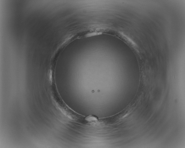 X0000075890067200609291717