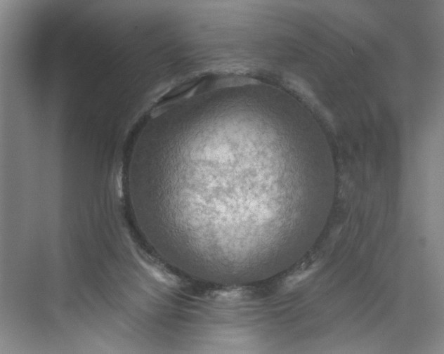 X0000075890068200609291717