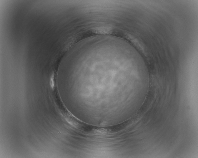 X0000075890069200609291717