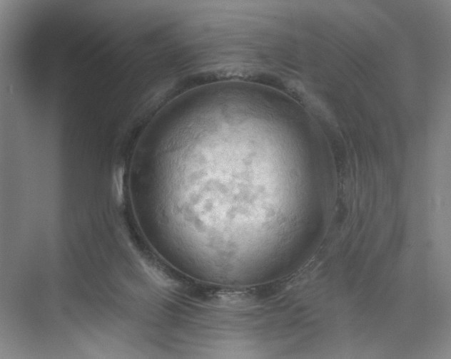 X0000075890070200609291717