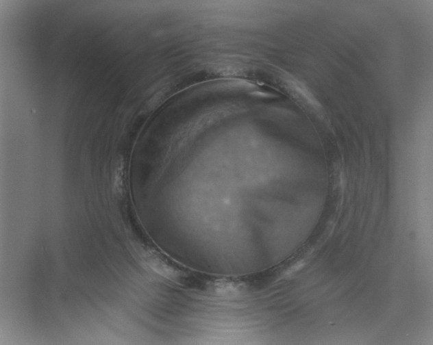 X0000075890073200609291717