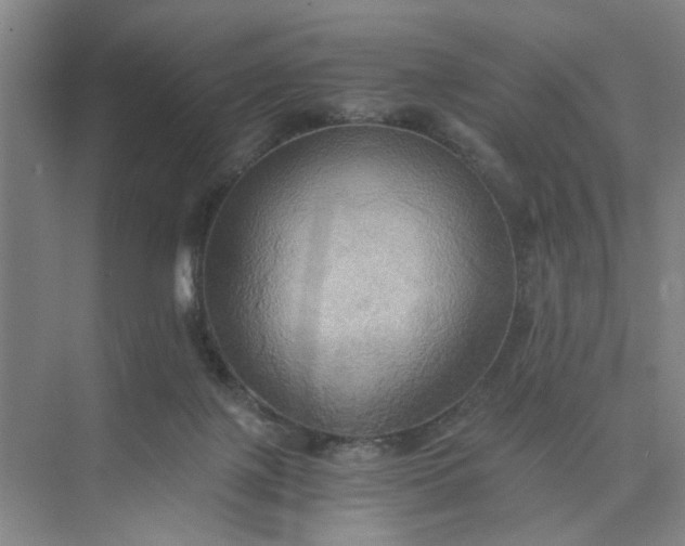 X0000075890075200609291717