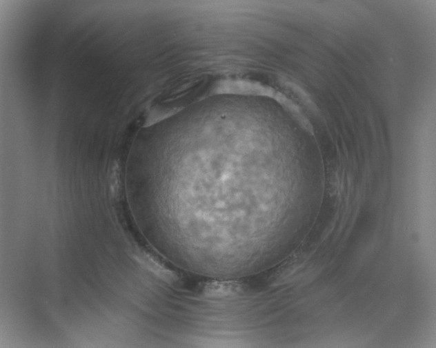 X0000075890077200609291717