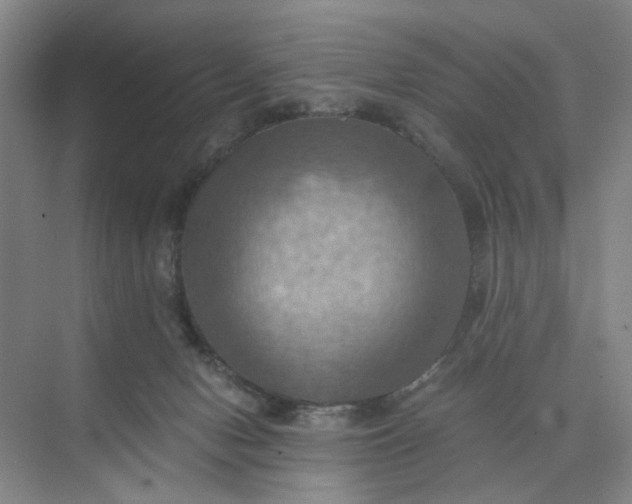 X0000075890078200609291717