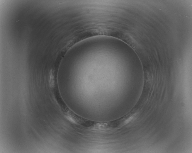 X0000075890080200609291717