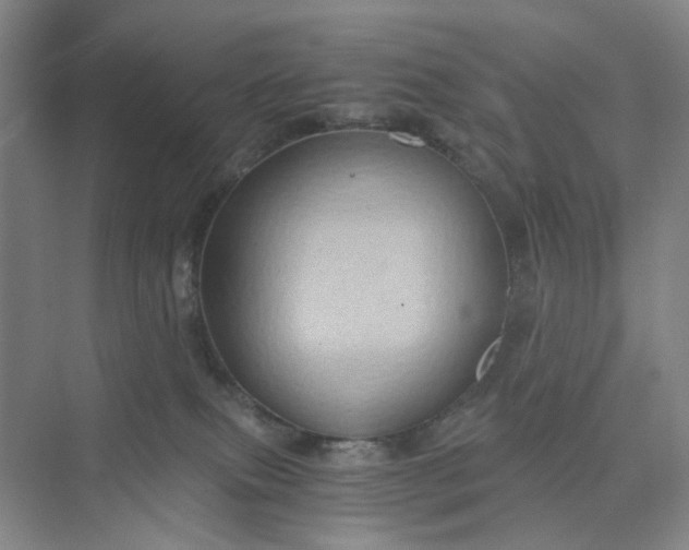 X0000075890087200609291717