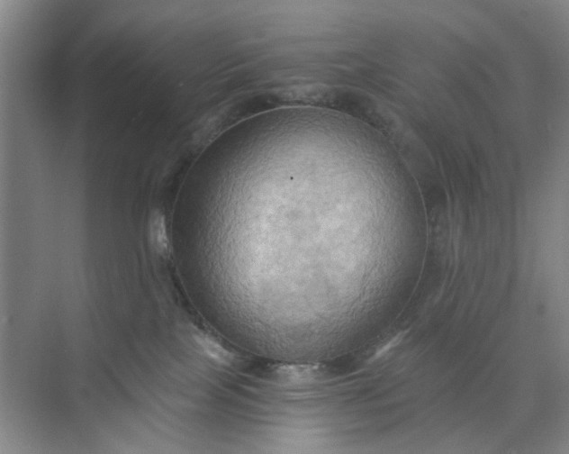 X0000075890089200609291717