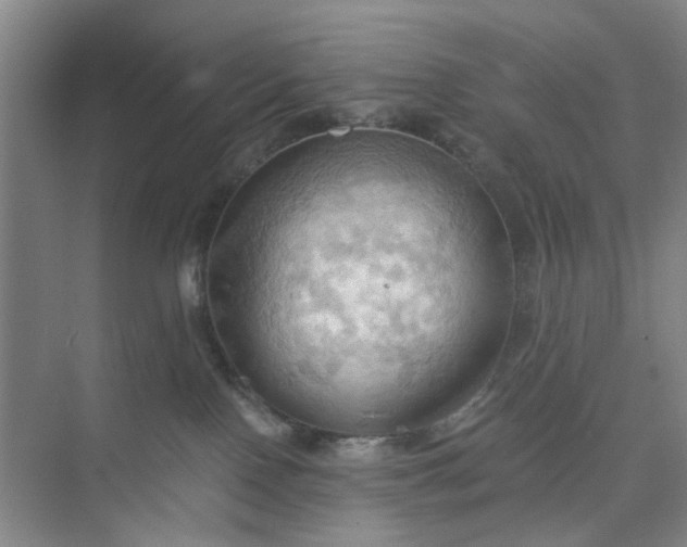 X0000075890090200609291717