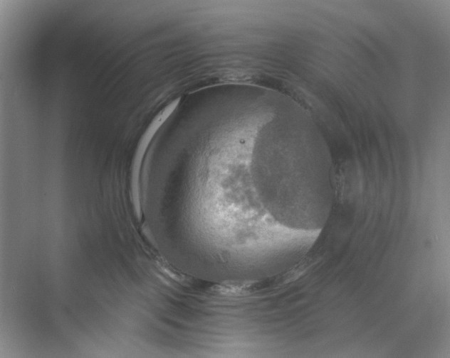 X0000075890093200609291717