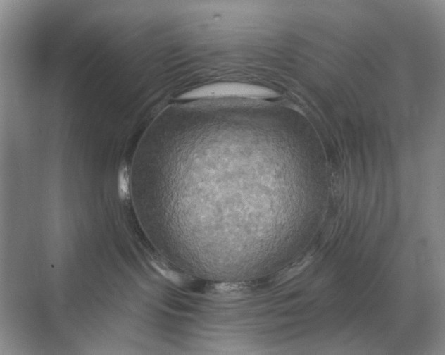 X0000075890095200609291717