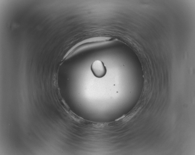 X0000075890096200609291717