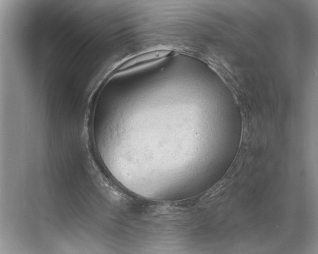 X0000075890098200609291716