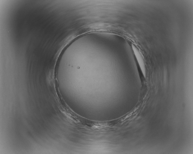 X0000075890099200609291716