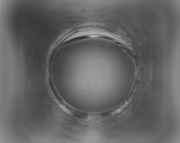 X0000075890101200609291716