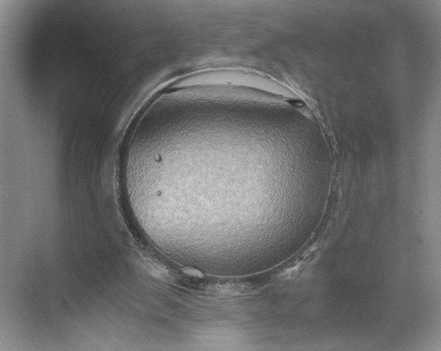 X0000075890103200609291716