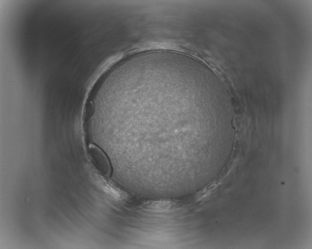 X0000075890104200609291716