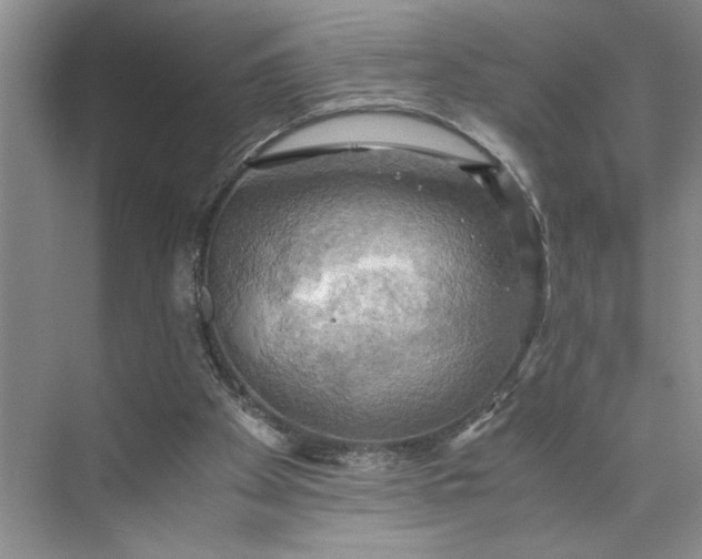 X0000075890105200609291716