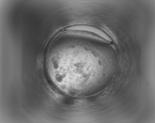 X0000075890107200609291716