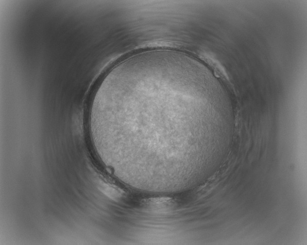 X0000075890108200609291716