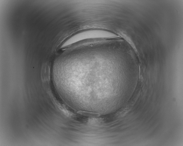 X0000075890109200609291716