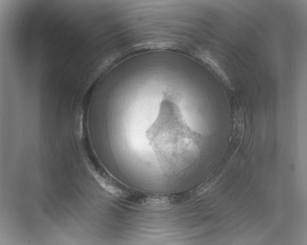 X0000075890110200609291716