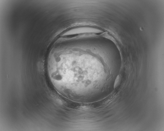 X0000075890111200609291716