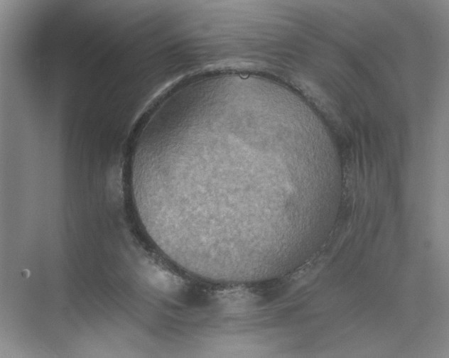 X0000075890112200609291716