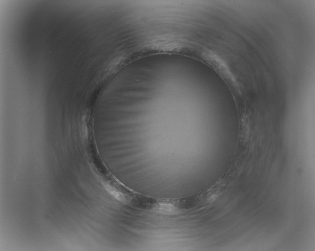 X0000075890114200609291716