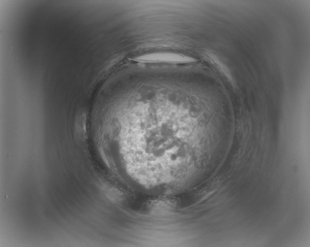 X0000075890115200609291716