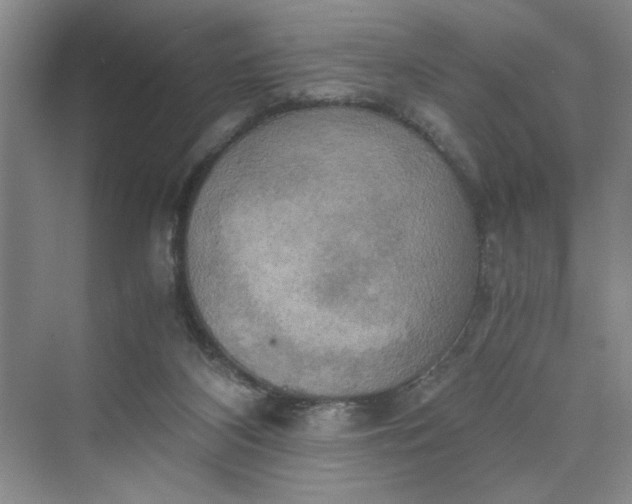 X0000075890116200609291716