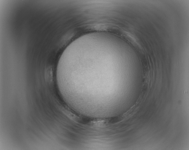 X0000075890120200609291716