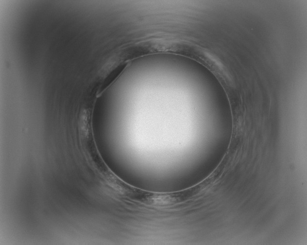 X0000075890121200609291716