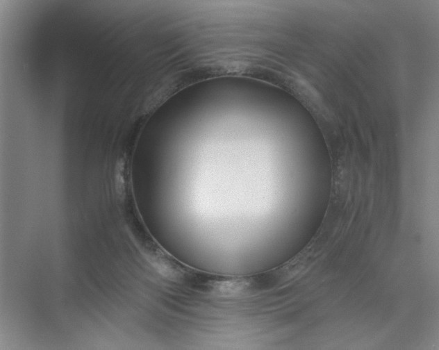 X0000075890122200609291716