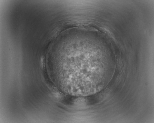 X0000075890123200609291716