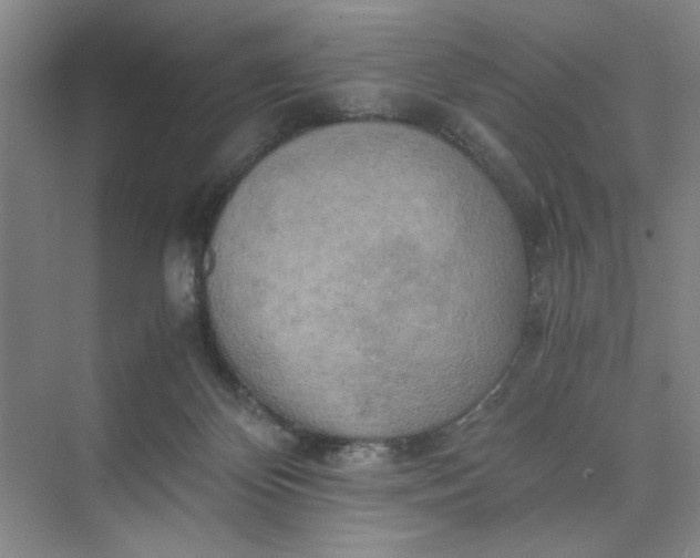 X0000075890124200609291716