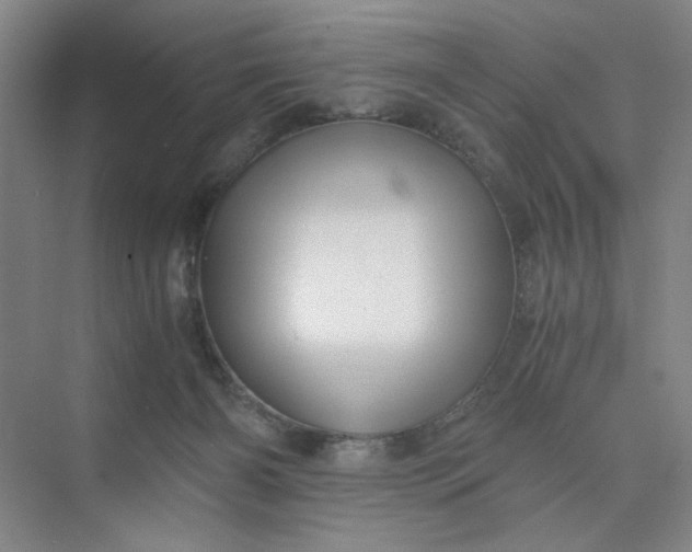 X0000075890126200609291716