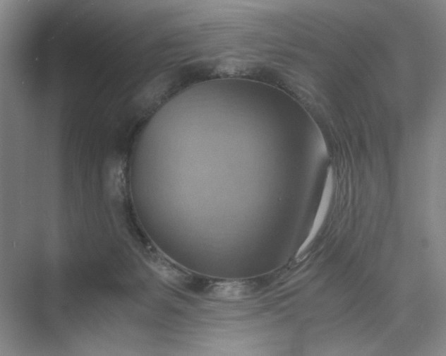 X0000075890127200609291716