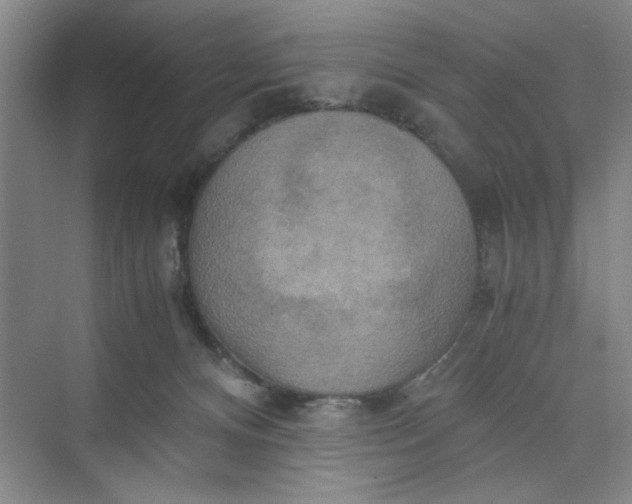 X0000075890128200609291716