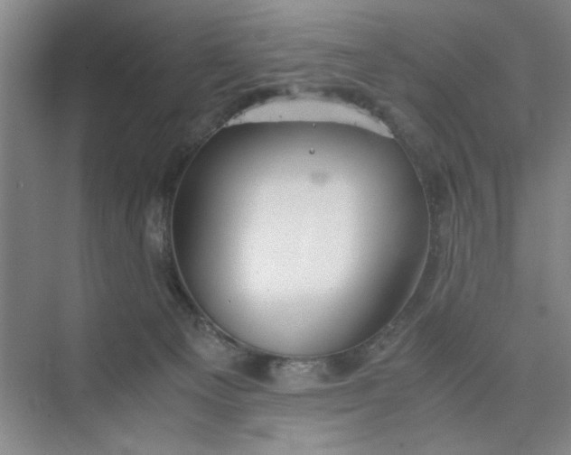 X0000075890129200609291716