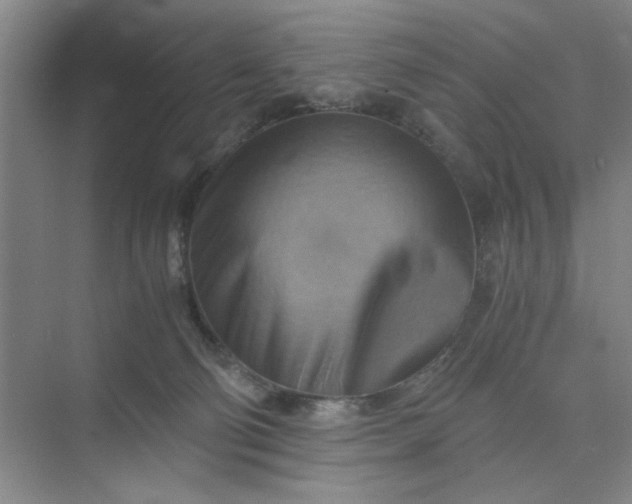 X0000075890130200609291716